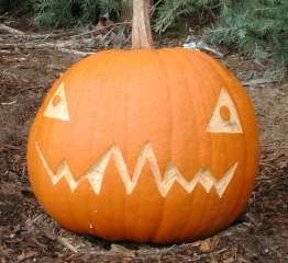 Tri Eye Pumpkin ,  Nipomo Pumpkin Patch, carving idea